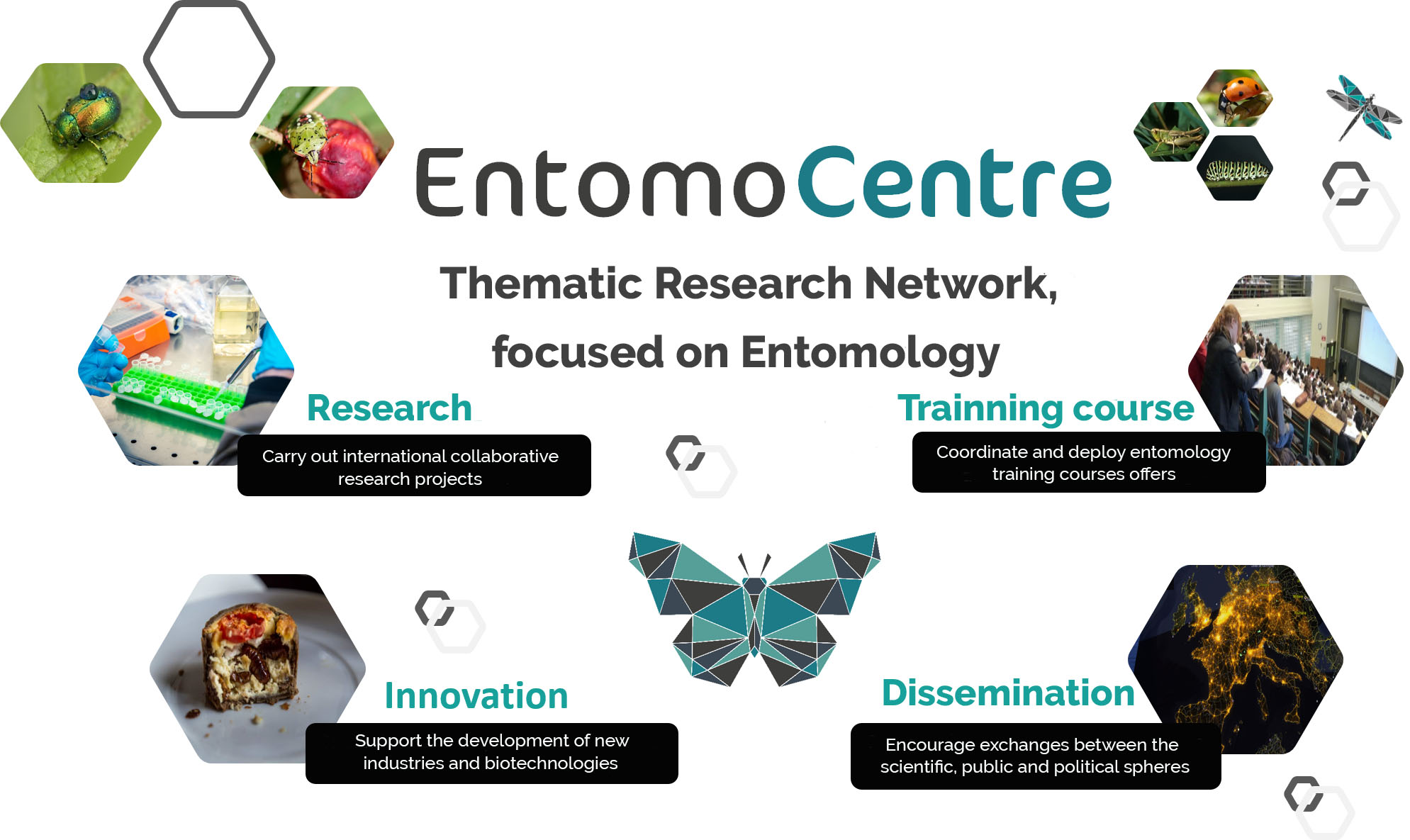 Network actions: Research, Training, Innovation, Dissemination